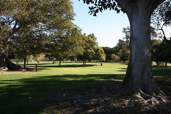 IMG 7170