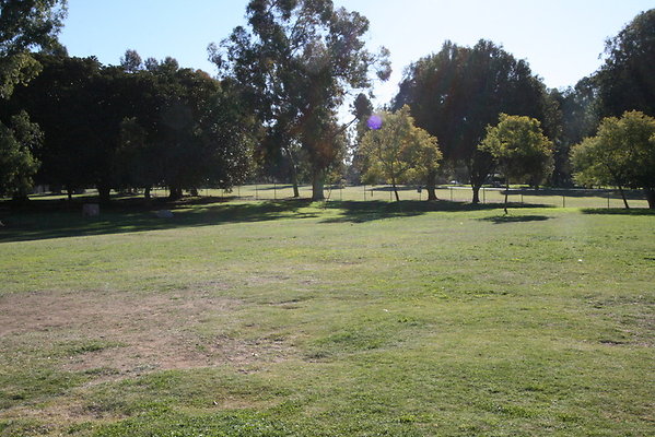 IMG 7162