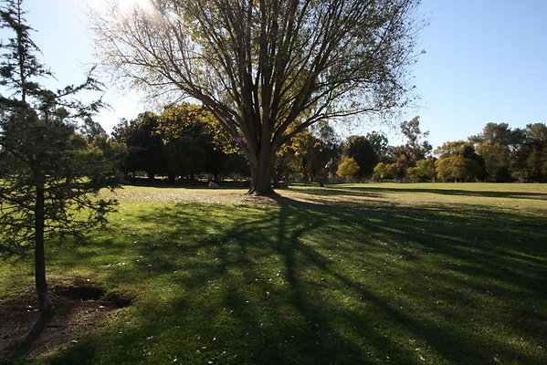 IMG 7176