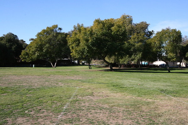 IMG 7161