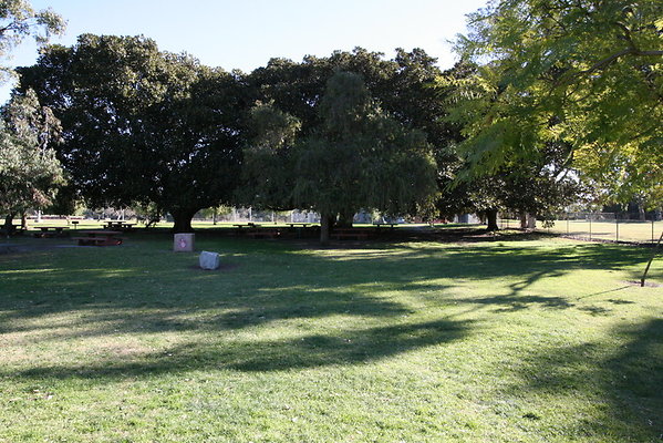 IMG 7160