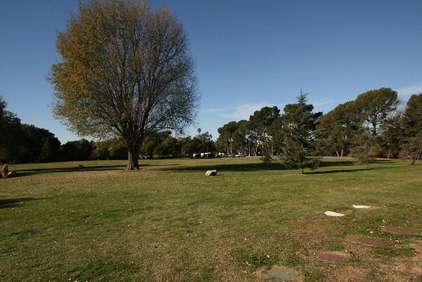IMG 7180