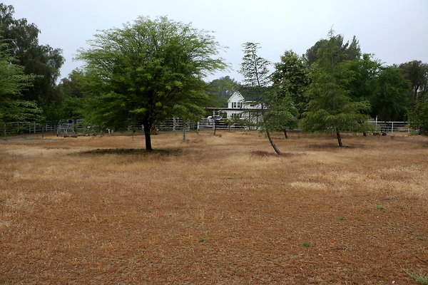 IMG 0185