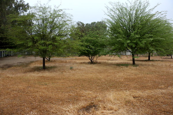 IMG 0182