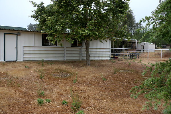 IMG 0186