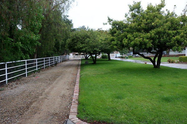 IMG 0198
