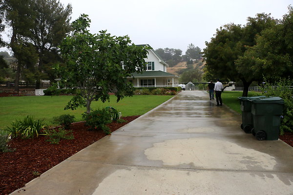 IMG 0230