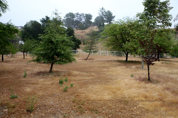 IMG 0178