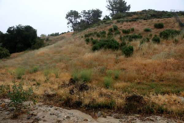 IMG 0184