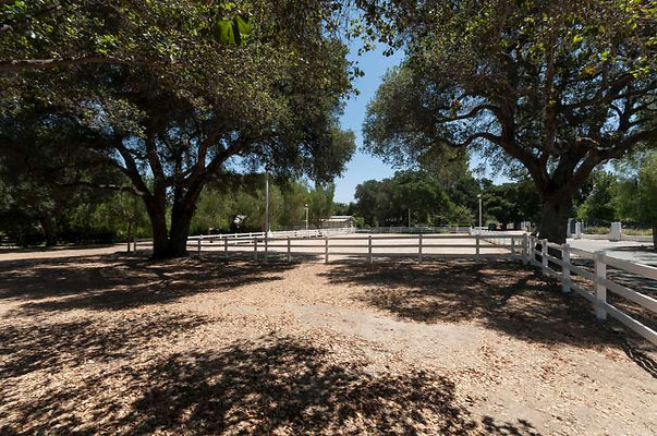 10071 corral 9