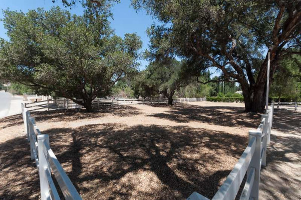 10071 corral 12