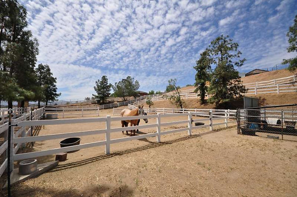 9989 corral 6