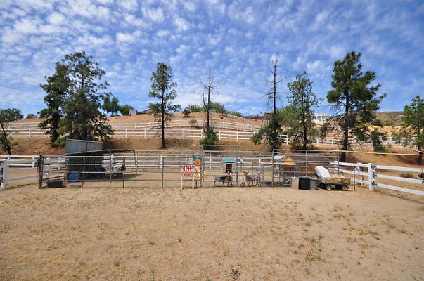 9989 corral 5
