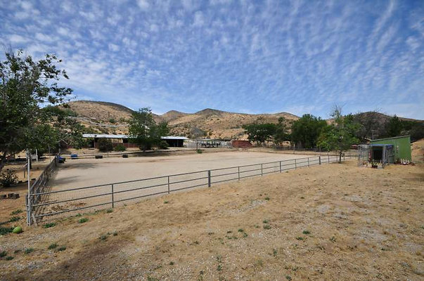9989 corral 1