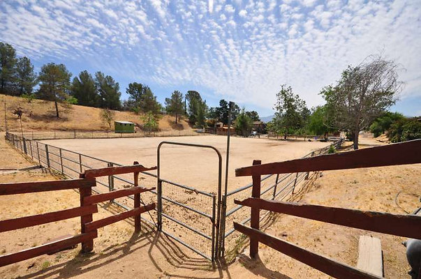 9989 corral 4