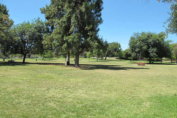 Grounds-Grass Areas-9