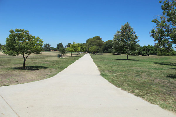 Pedestrian Walkways, Tunnels and Bridges-8