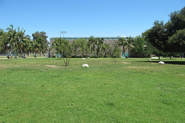 Grounds-Grass Areas-8