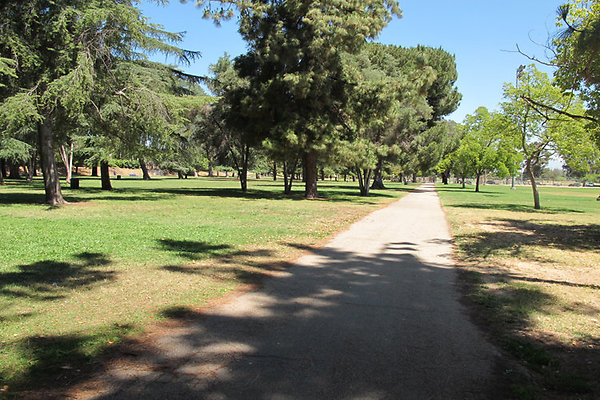 Pedestrian Walkways, Tunnels and Bridges-11