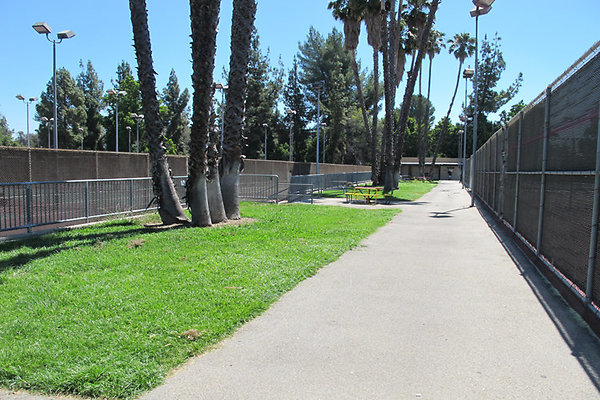 Pedestrian Walkways, Tunnels and Bridges-3