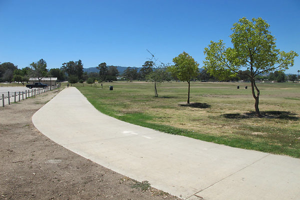 Pedestrian Walkways, Tunnels and Bridges-1