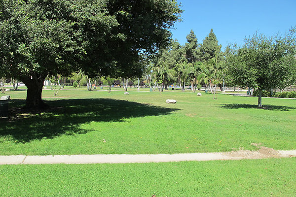 Grounds-Grass Areas-11