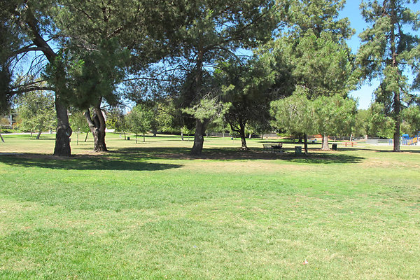 Grounds-Grass Areas-15