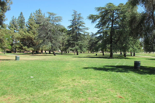 Grounds-Grass Areas-10