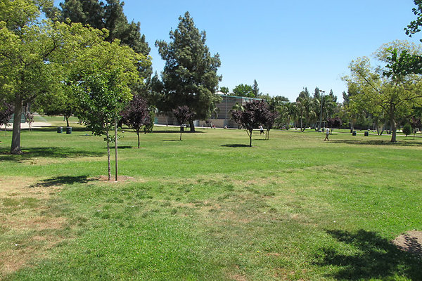 Grounds-Grass Areas-12