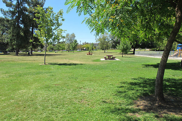 Grounds-Grass Areas-13