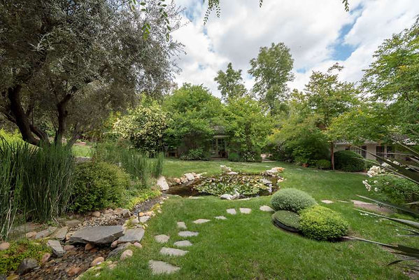 11599 pond 1