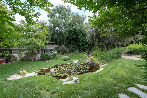 11599 pond 3