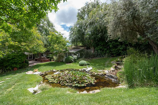 11599 pond 2