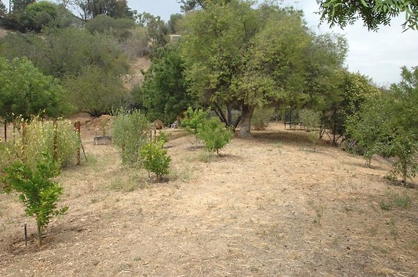 property 9706 0066