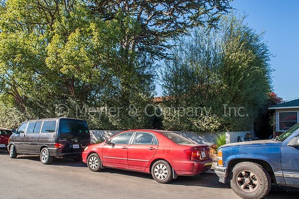 meyler 2224 093