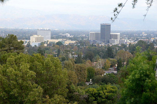 DSC 8876
