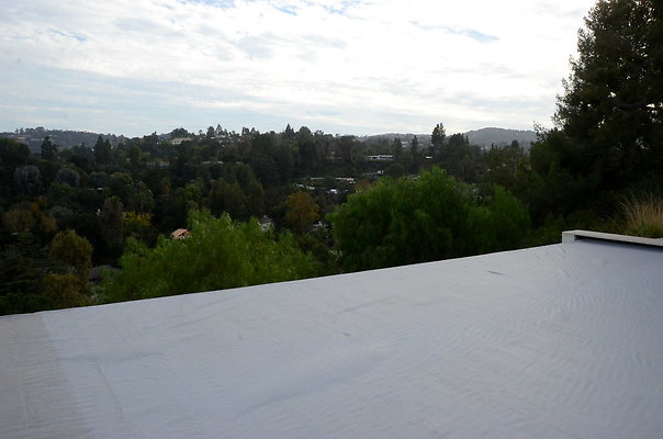 DSC 8866