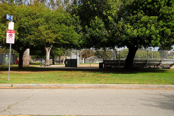 DSC 3231