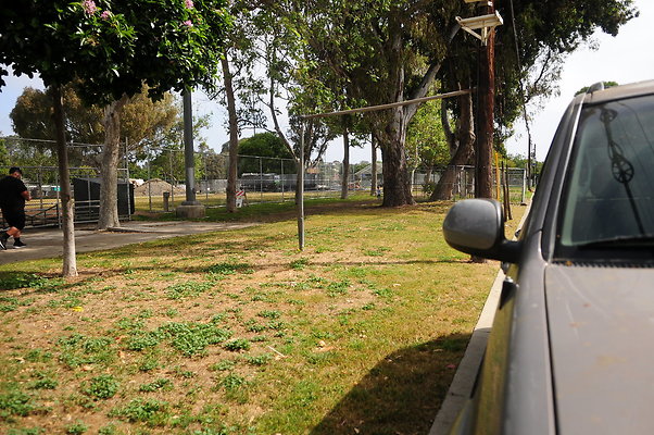 DSC 3252