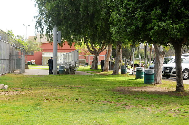 DSC 3246