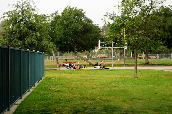 DSC 3207