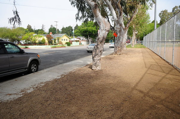 DSC 3263