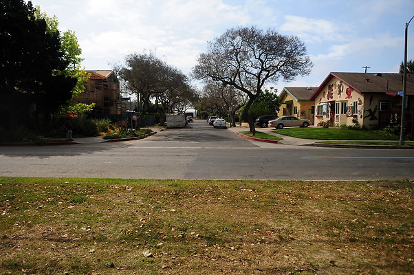 DSC 3229