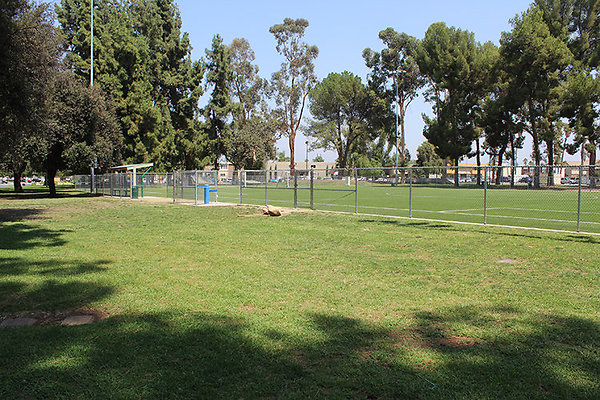 Grounds-Grass Areas-6