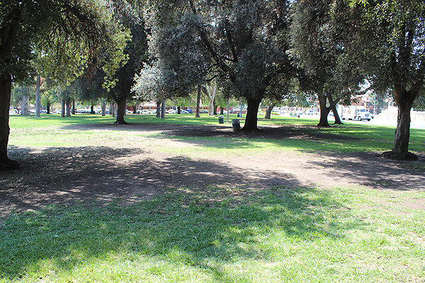 Grounds-Grass Areas-16