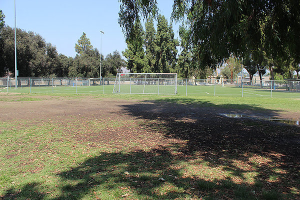 Grounds-Grass Areas-17