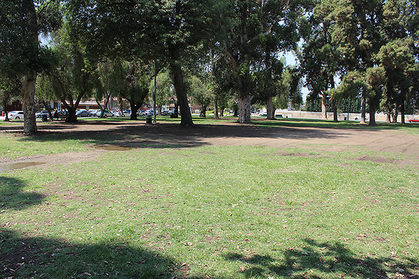 Grounds-Grass Areas-4