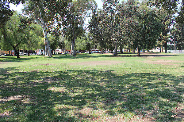 Grounds-Grass Areas-7