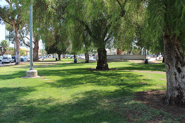Grounds-Grass Areas-5