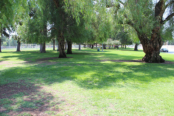 Grounds-Grass Areas-13